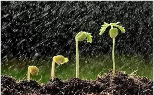 土壤墑情監測系統的安裝步驟