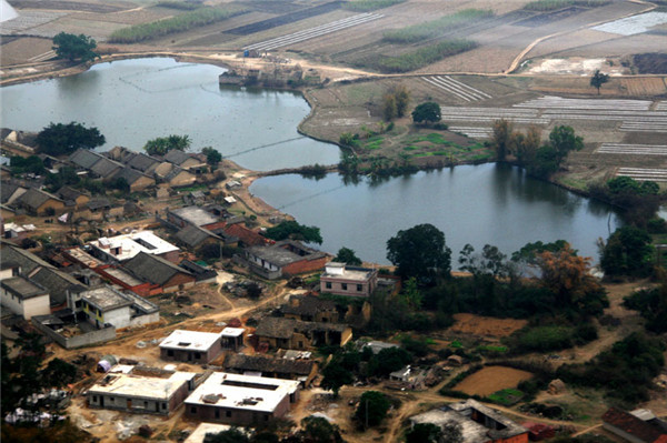 土壤水分對葉片特性有什么影響？