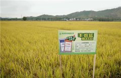 土壤墑情監測系統的應用效果怎么樣？