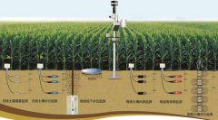 土壤墑情怎么讀，在實際農(nóng)業(yè)中應(yīng)用怎樣？