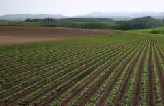 神經網絡法能用于土壤墑情預測嗎？