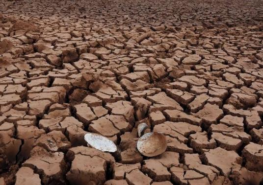 遠程墑情自動監測系統設計思路 遠程墑情自動監測系統設計思路