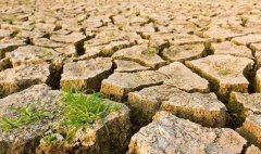 目測土壤墑情？