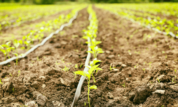 為什么要開展土壤墑情監測工作？