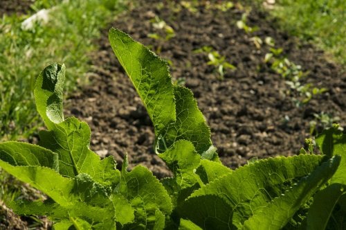 國內外墑情監測方法 國內外墑情監測方法