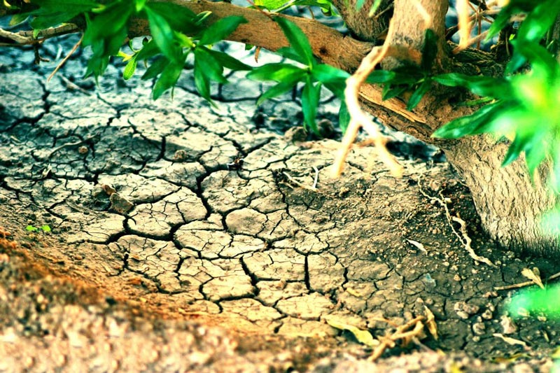 土壤墑情監(jiān)測(cè)系統(tǒng)引領(lǐng)墑情信息化監(jiān)測(cè)管理 土壤墑情監(jiān)測(cè)系統(tǒng)引領(lǐng)墑情信息化監(jiān)測(cè)管理