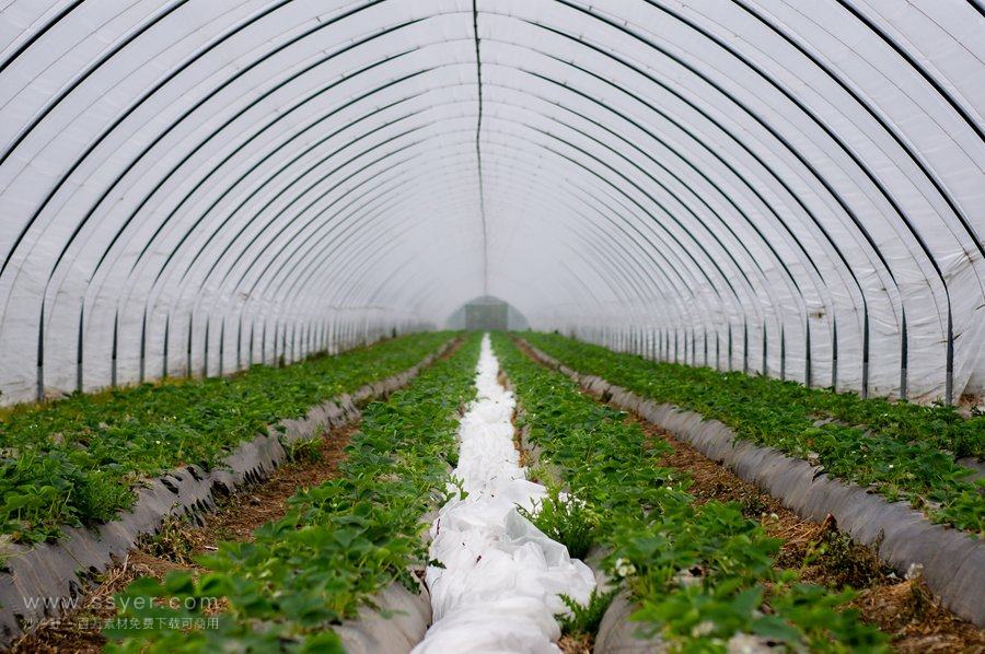 節(jié)水灌溉技術 節(jié)水灌溉技術